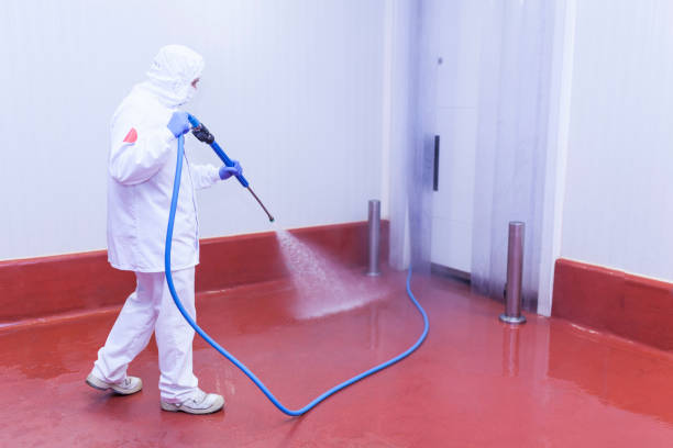 Pre-Holiday Cleaning in Bayside, WI